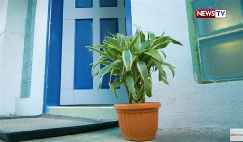 Feng shui tips para pumasok ang suwerte sa mga .